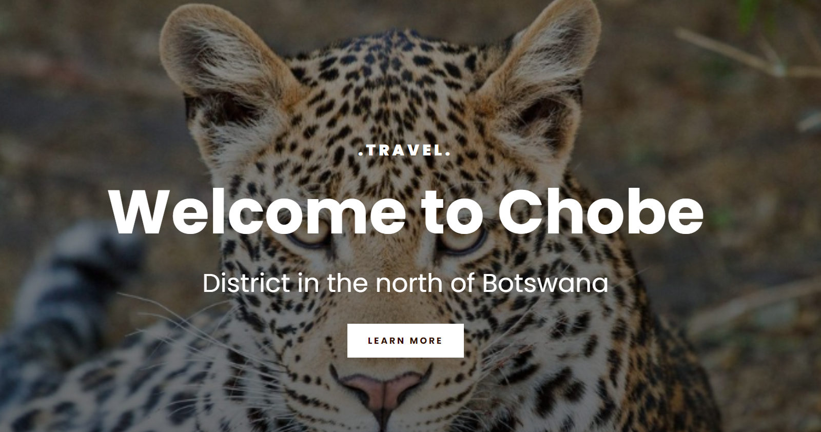 Chobe travel